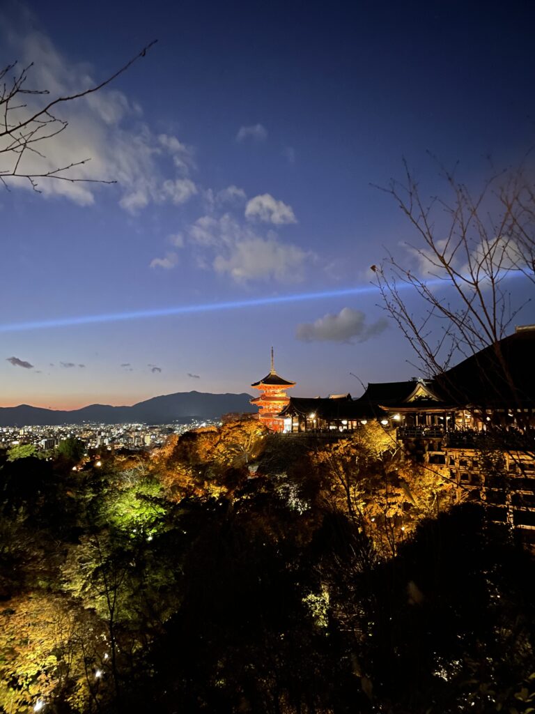 Not an ordinary tour - Kyoto 1