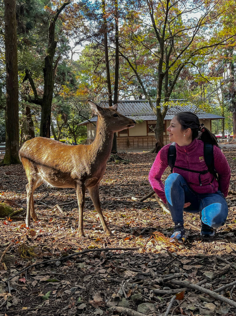 Not an ordinary tour - Nara 1