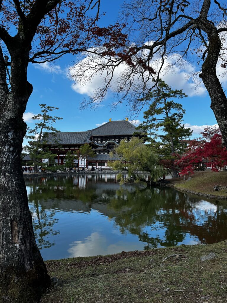 Not an ordinary tour - Nara 5
